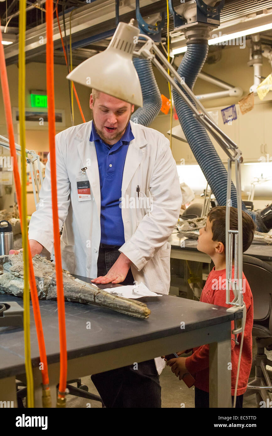 Salt Lake City, Utah - Le Musée d'histoire naturelle de l'Utah. Banque D'Images