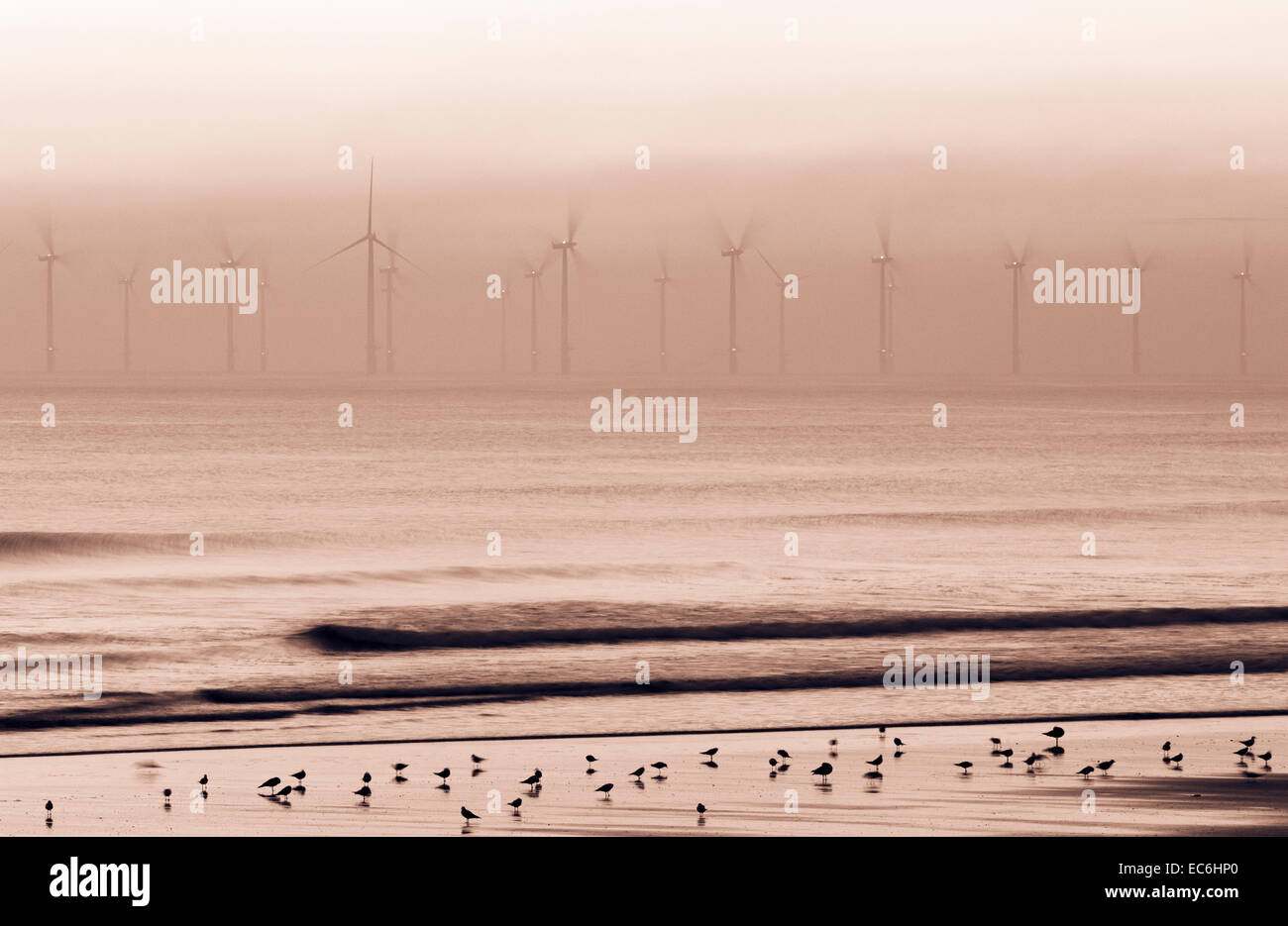 Parc éolien offshore de Teesside près de Redcar sur la côte nord-est de l'Angleterre, au Royaume-Uni, à l'aube. Photographie prise à partir de Seaton Carew beach Banque D'Images