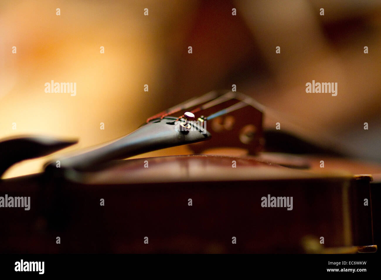 Violon, Musique, Concert Banque D'Images