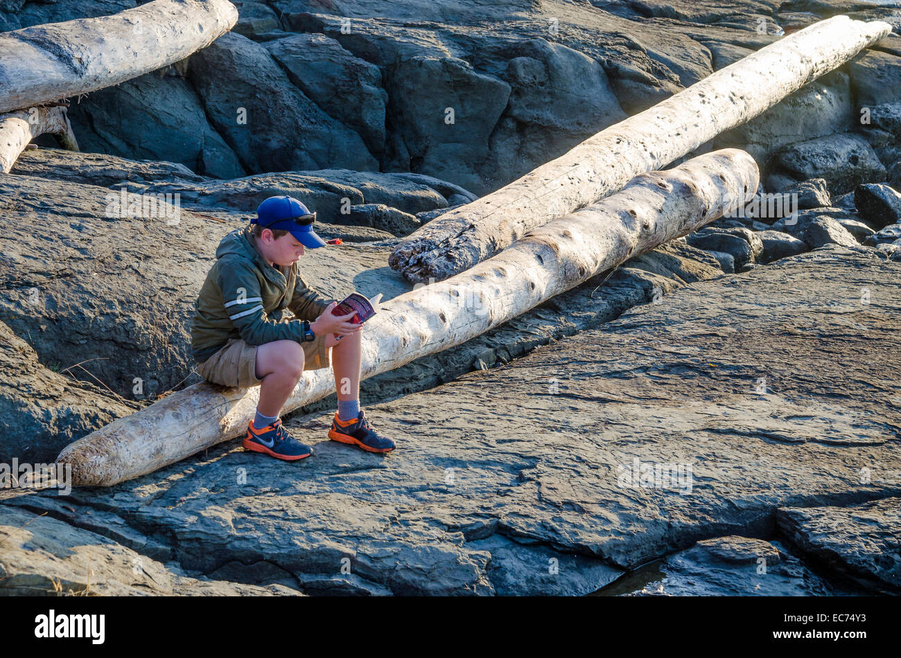 Boy reading sur driftwood log. Parc provincial Ruckle, Salt Spring Island, British Columbia, Canada Banque D'Images