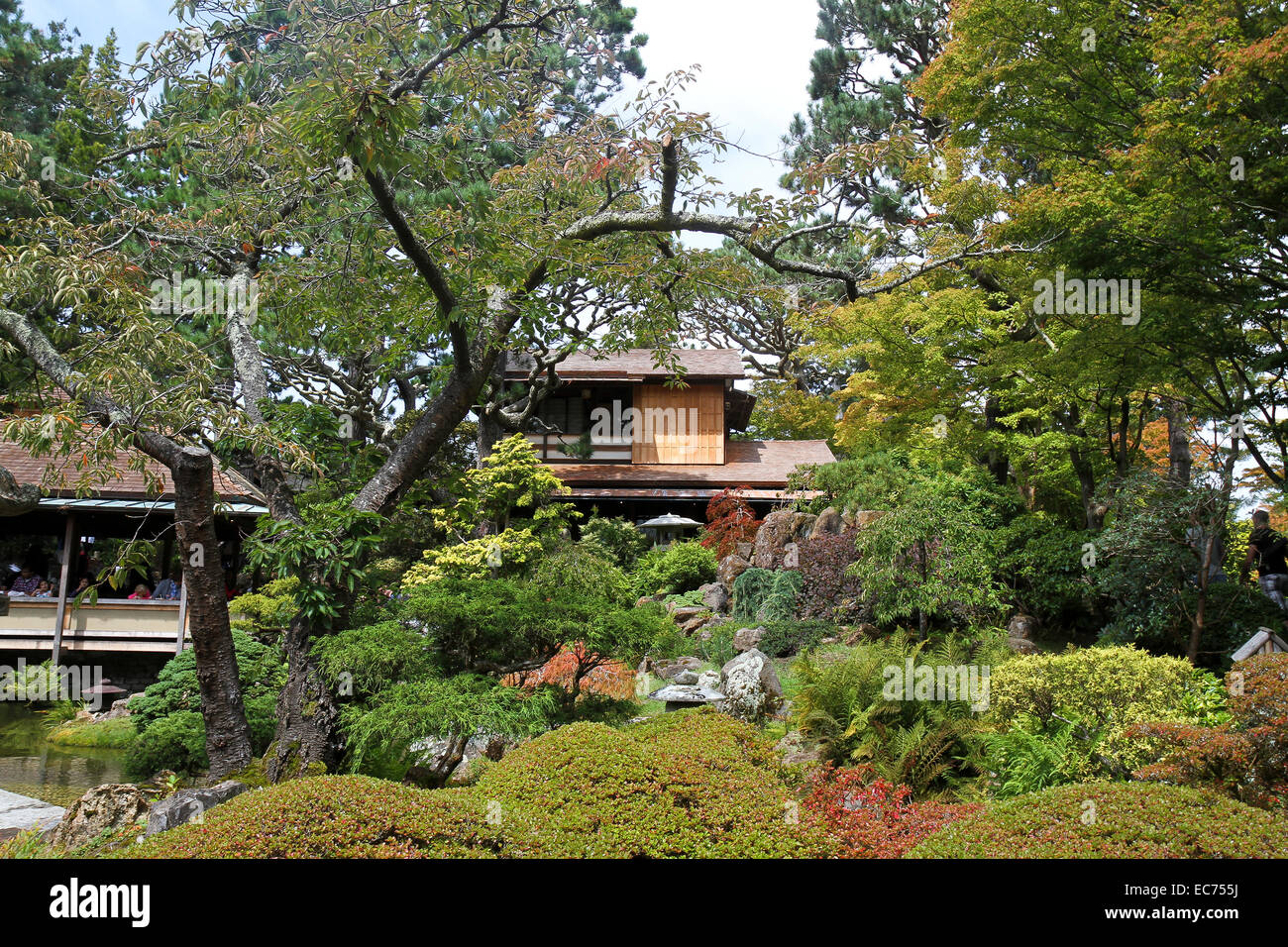 Japanese Tea Garden, le Golden Gate Park, San Francisco, Californie, Etats-Unis, Amérique du Nord Banque D'Images