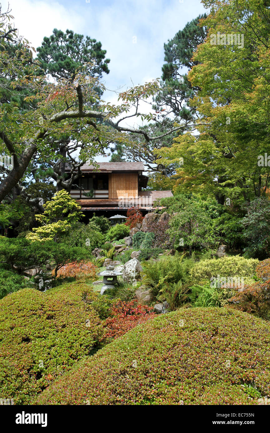 Japanese Tea Garden, le Golden Gate Park, San Francisco, Californie Banque D'Images