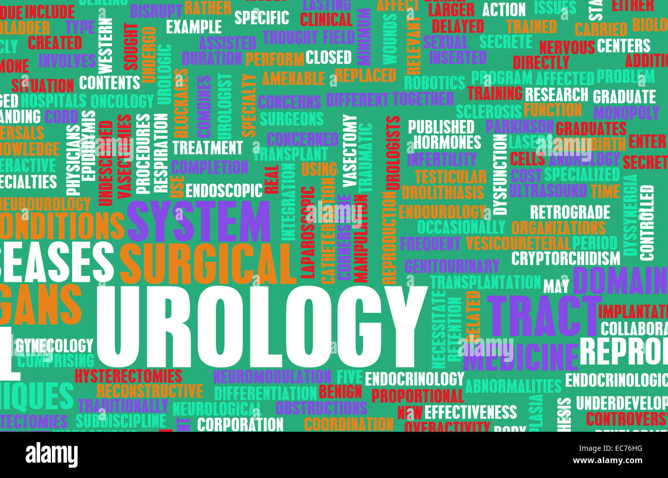 L'Urologie urologue ou domaine médical comme de l'art spécialisés Banque D'Images