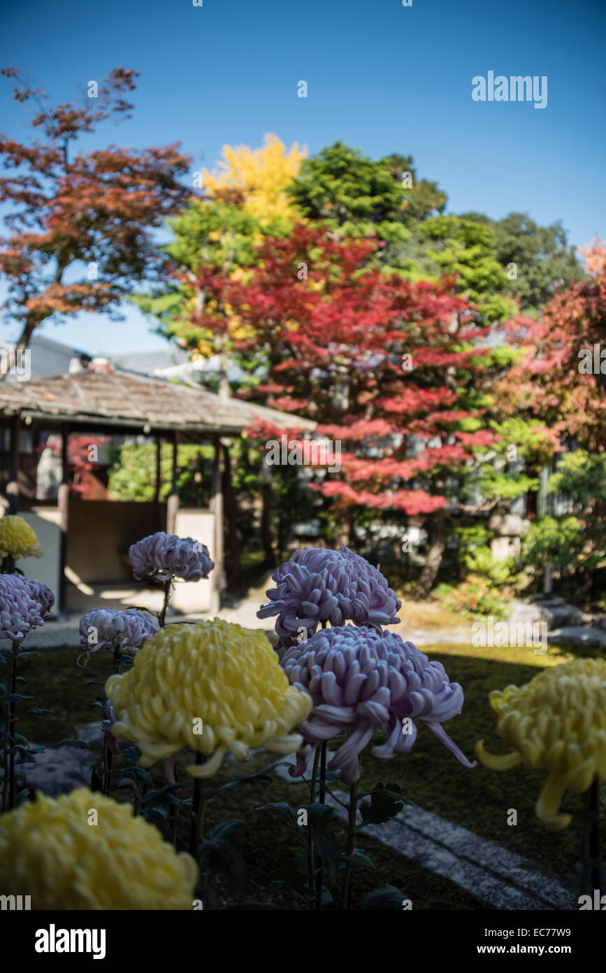 Culte garden à Kyoto, au Japon. Banque D'Images