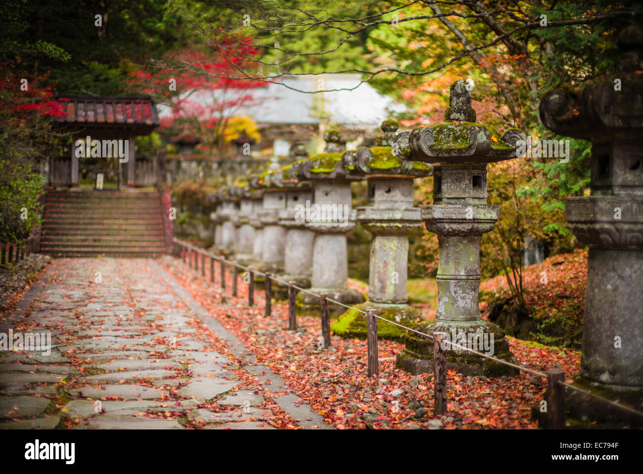 Lanternes en pierre ronde à Nikko, Japon. Banque D'Images