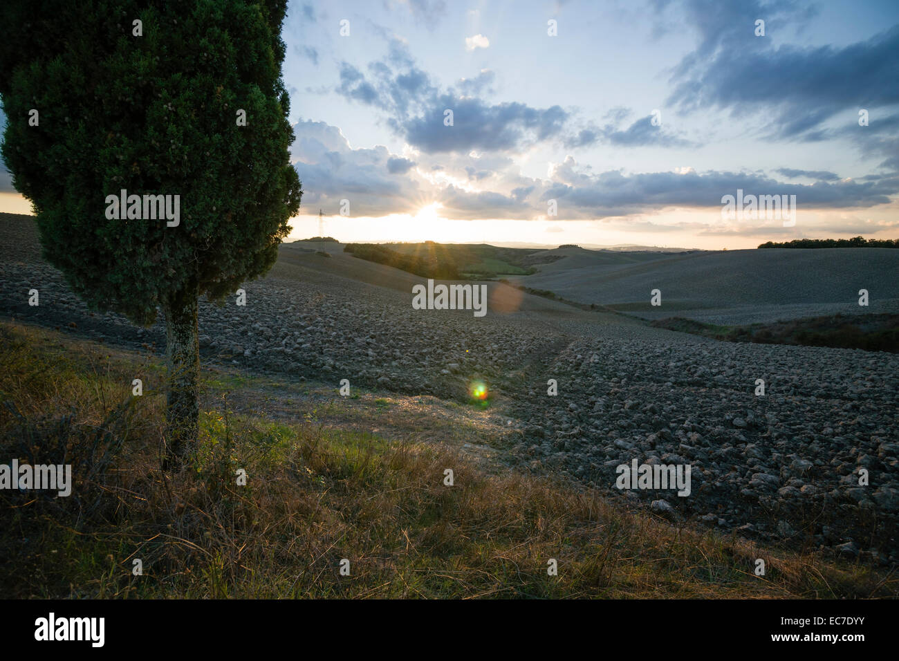 Italie, Toscane, Province de Sienne, Crete Senesi, au coucher du soleil Banque D'Images