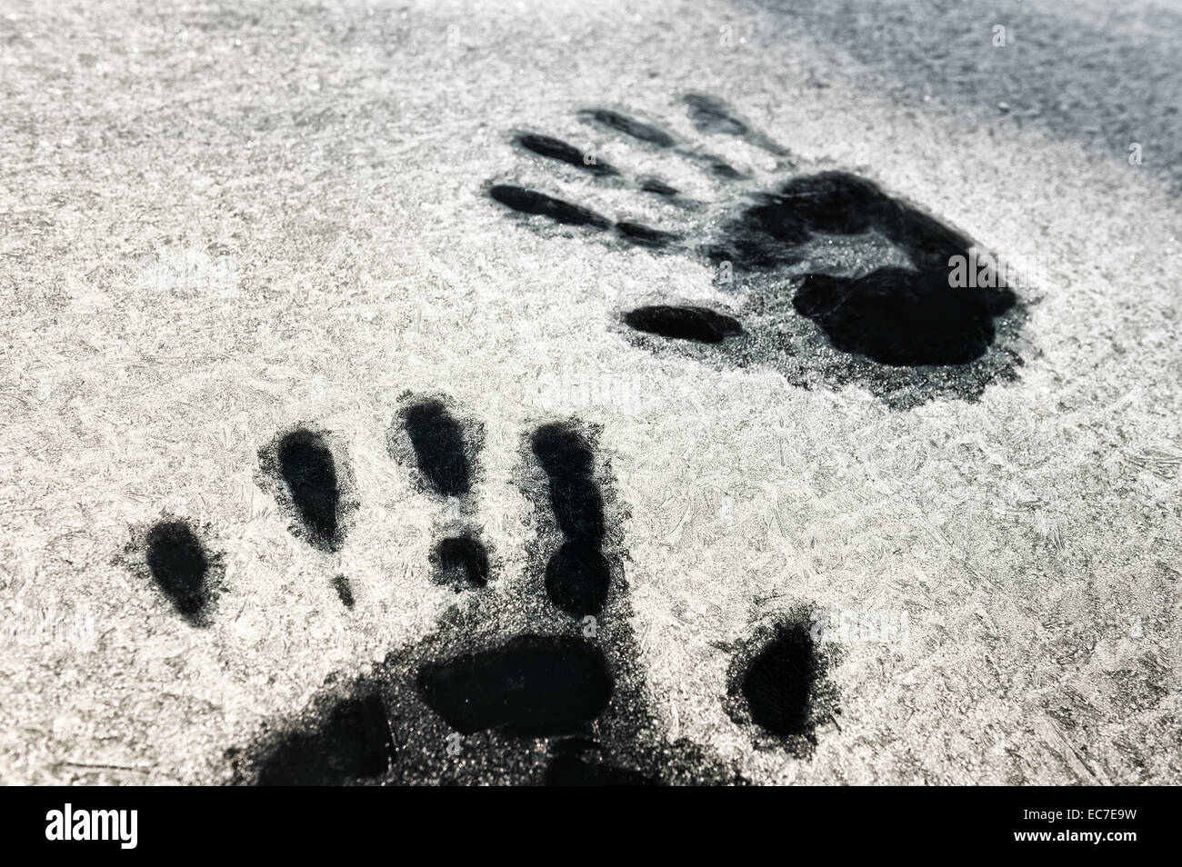 Imprimer Imprime la main comme la fonte du givre sur la fenêtre à l'idée de survivre à l'intérieur période de froid appel à l'aide lever du soleil Banque D'Images