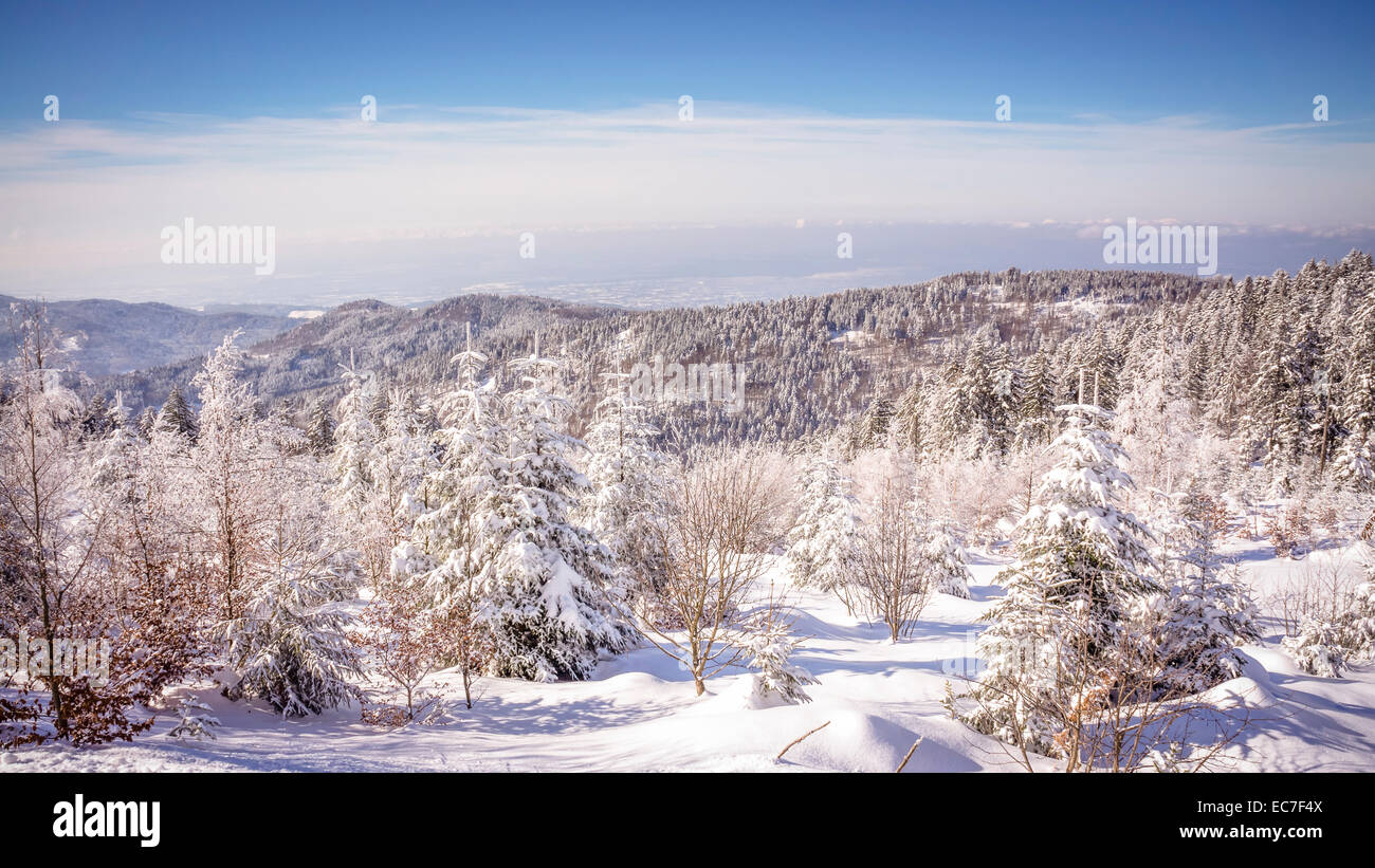 Allemagne, Bade-Wurtemberg, paysage d'hiver en Forêt-Noire Banque D'Images