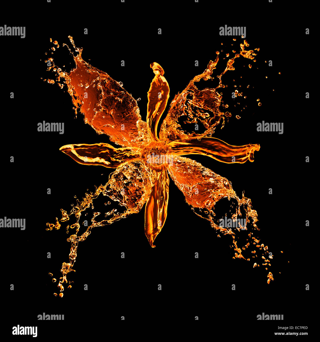 Les projections d'eau de fleur isolated on black Banque D'Images