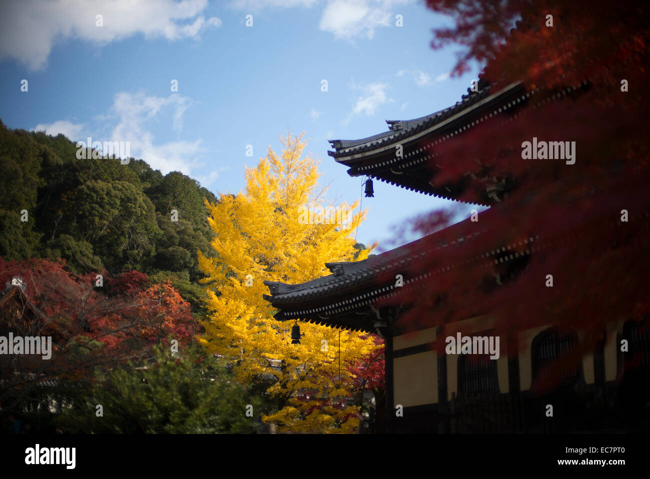 Pagode japonaise en couleurs automnales, Kyoto, Japon. Banque D'Images