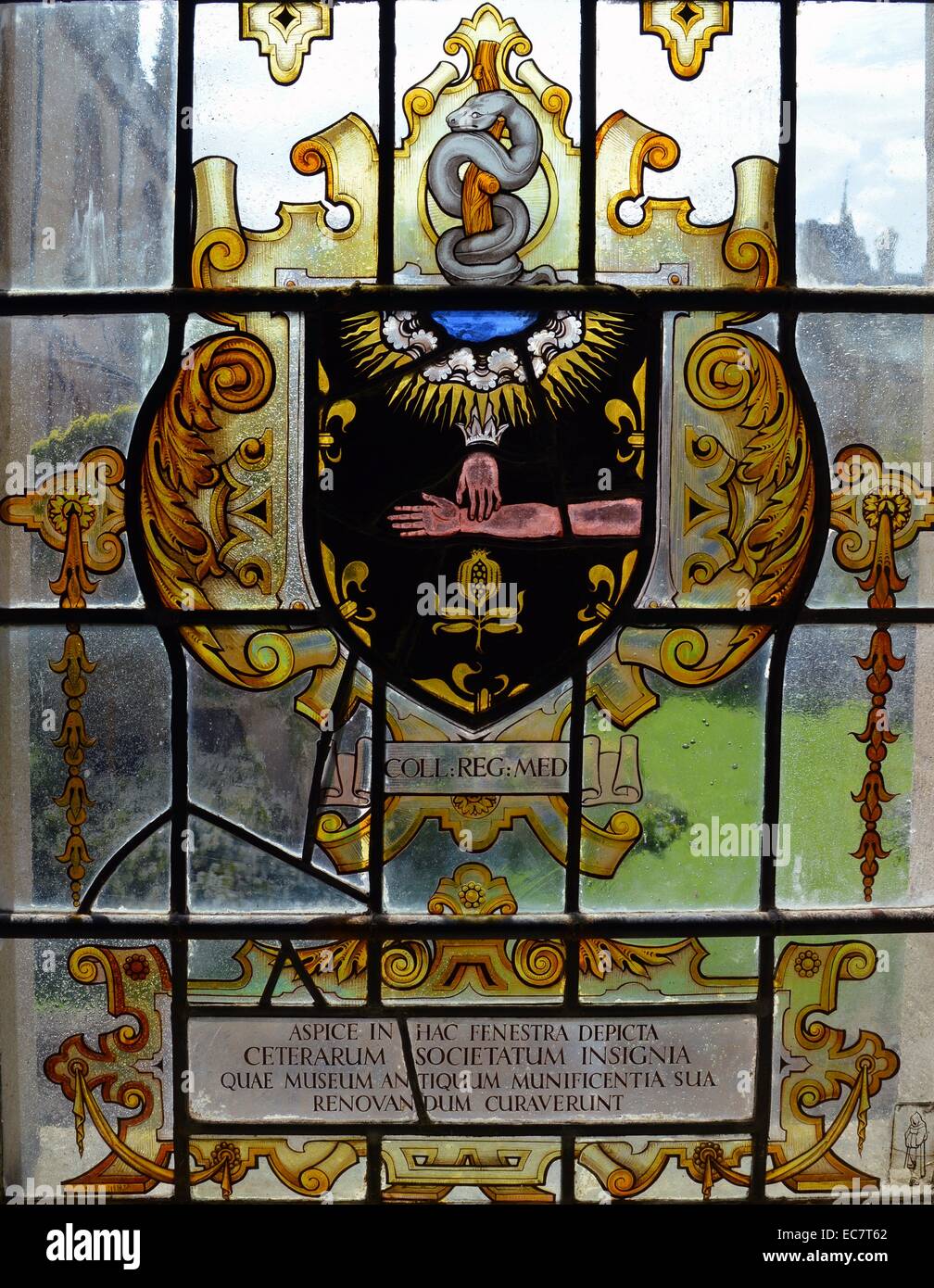 La mesure d'une part, d'impulsions représenté dans une fenêtre en verre à la 18e siècle Musée des sciences d'Oxford Banque D'Images