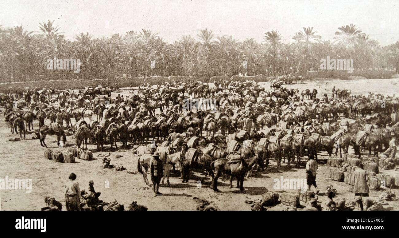 Forces britanniques à Bassora ; l'Irak pendant la Première Guerre mondiale 1914 Banque D'Images