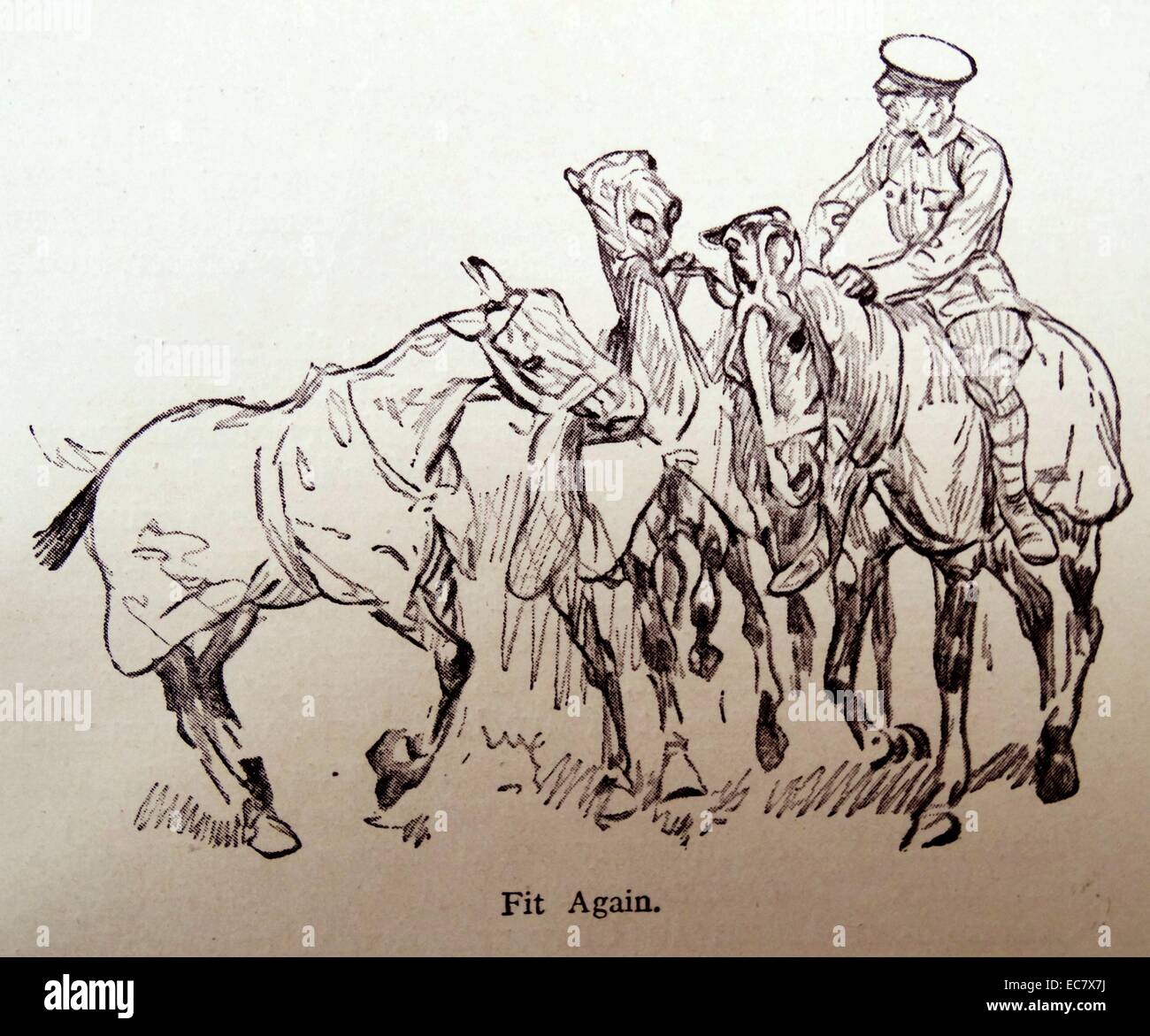 Croquis de cavalerie pendant un 1915 Banque D'Images