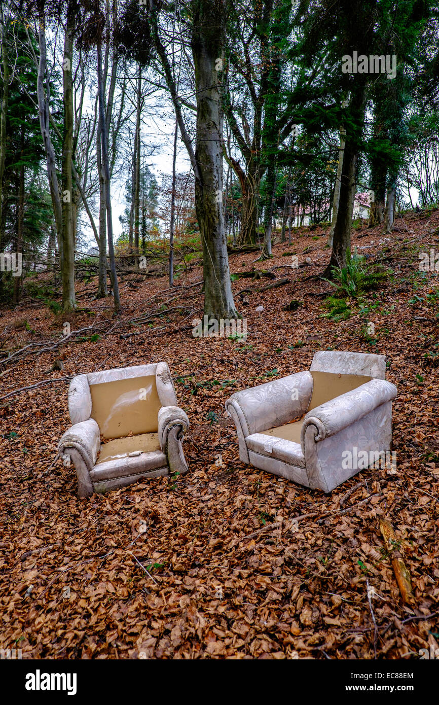 FLY MEUBLES À WOODLAND GLOUCESTERSHIRE ENGLAND UK DANS UNE ZONE DE beauté naturelle exceptionnelle, la vallée de la Wye. Banque D'Images