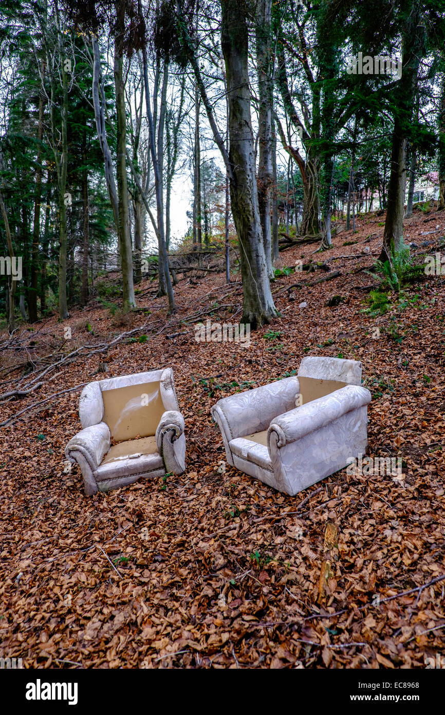FLY MEUBLES À WOODLAND GLOUCESTERSHIRE ENGLAND UK DANS UNE ZONE DE beauté naturelle exceptionnelle, la vallée de la Wye. Banque D'Images