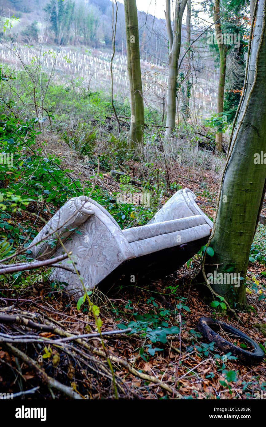 FLY MEUBLES À WOODLAND GLOUCESTERSHIRE ENGLAND UK DANS UNE ZONE DE beauté naturelle exceptionnelle, la vallée de la Wye. Banque D'Images