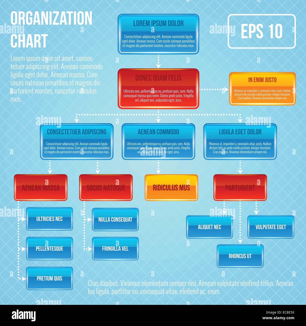 Organigramme Organigramme de l'organisation du travail d'infographie illustration vectorielle structure Illustration de Vecteur