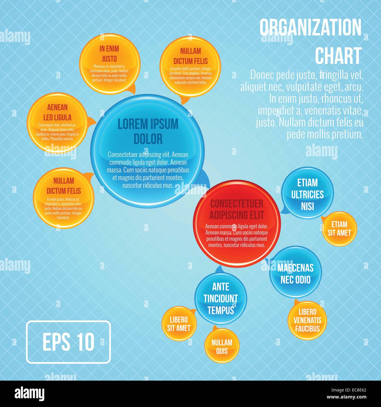 Infographie - organigramme structure de travail Cercle de bulles d'affaires vector illustration Illustration de Vecteur