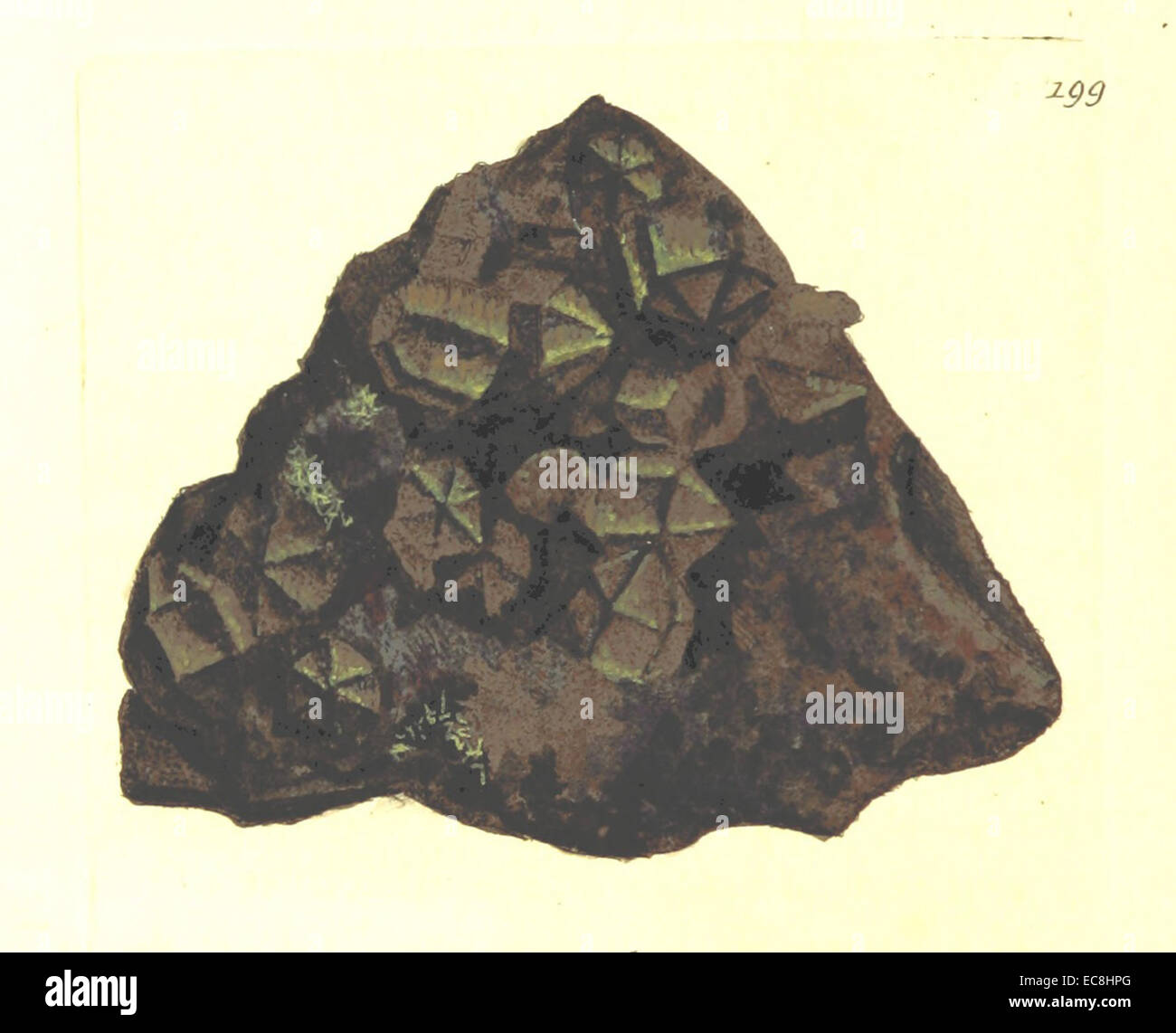 Cette entrée de 1806 de *British Mineralogy* fournit une illustration du Silex Quartzum, un spécimen minéral, qui montre ses caractéristiques et contribue aux premières études minéralogiques. Banque D'Images