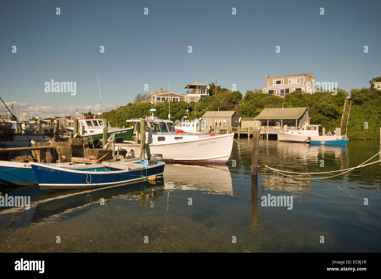 Etats-unis d'Amérique (USA), Massachusetts (MA), Martha's Vineyard, Menemsha, marina Banque D'Images
