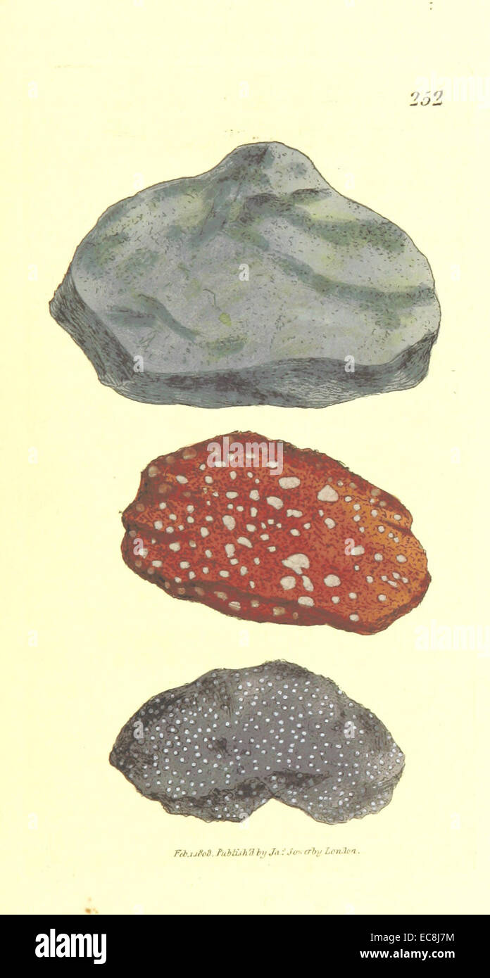Une illustration de 1809 de la minéralogie britannique, montrant un spécimen minéral, peut-être T252, contribuant aux études minéralogiques de l'époque. Banque D'Images