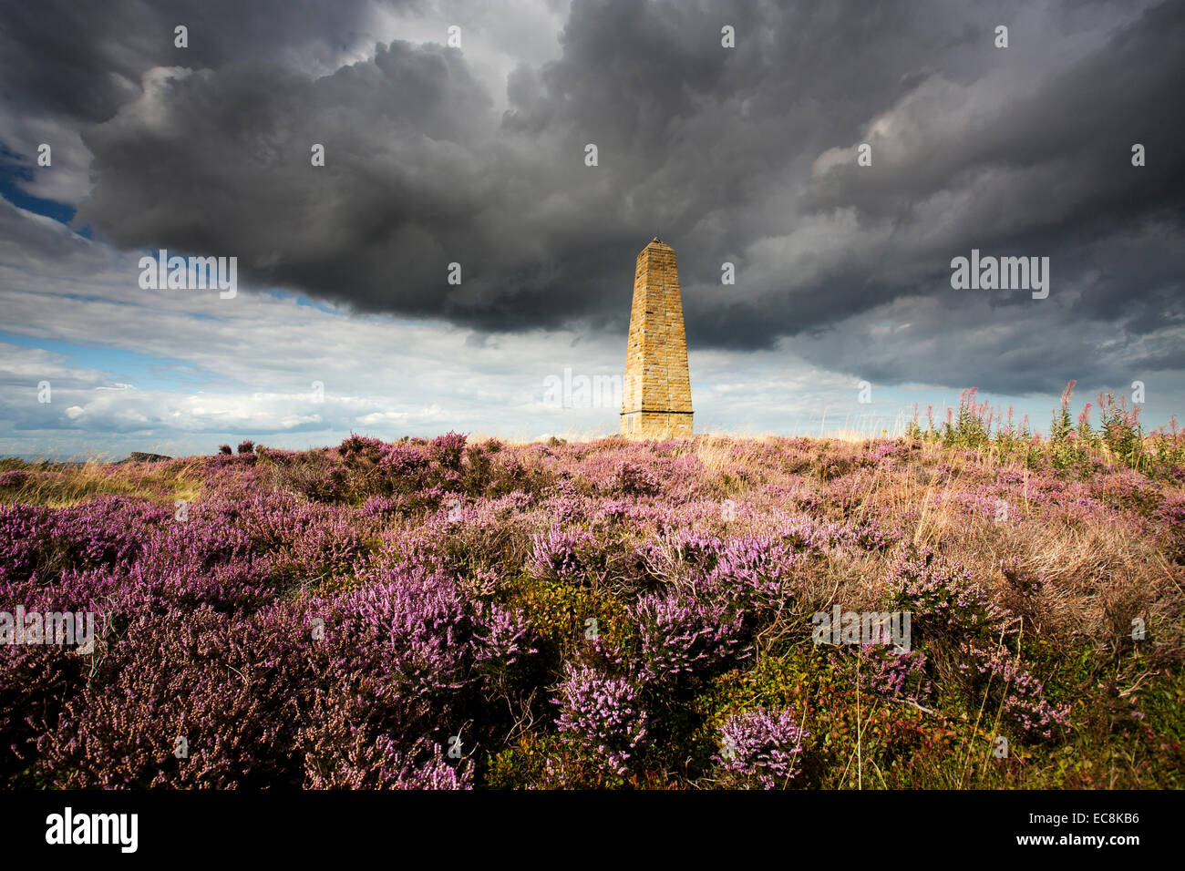 Capitaines Cook Monument sur la lande d'Easby North York Moors National Park. Banque D'Images