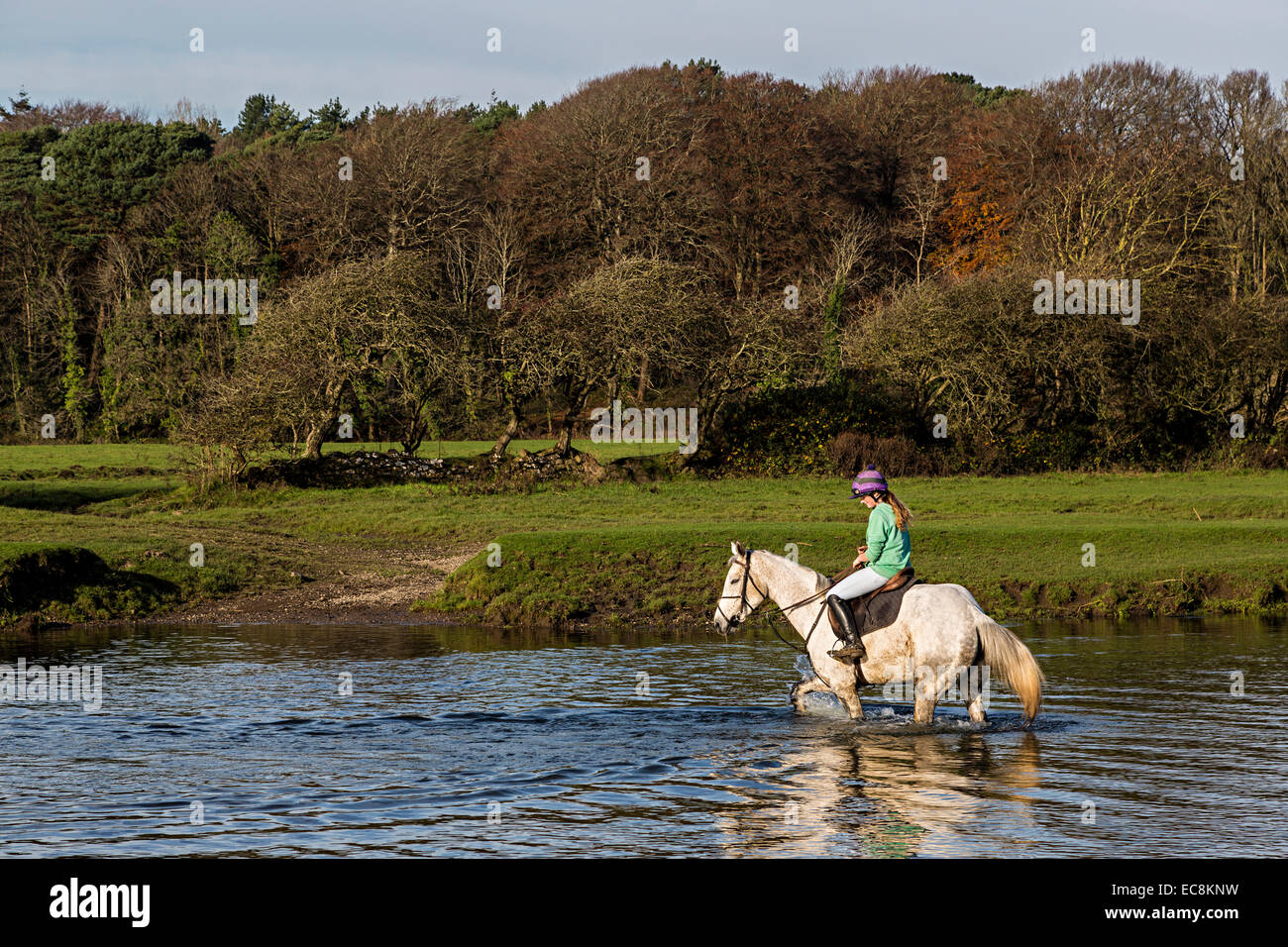 Fille sur le cheval, de Fording River Ogmore, Pays de Galles, Royaume-Uni Banque D'Images