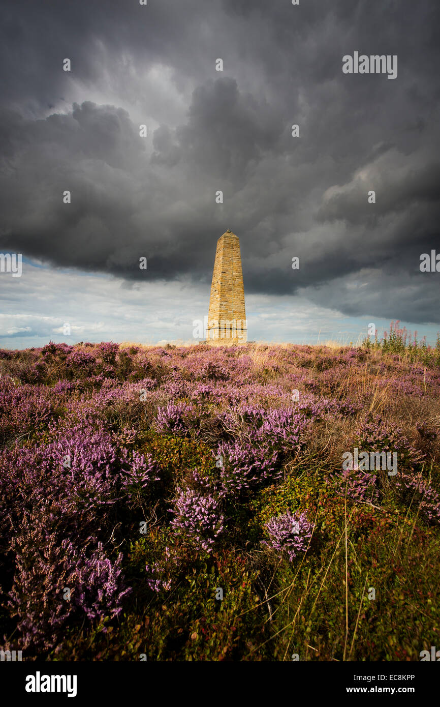 Capitaines Cook Monument sur la lande d'Easby North York Moors National Park. Banque D'Images