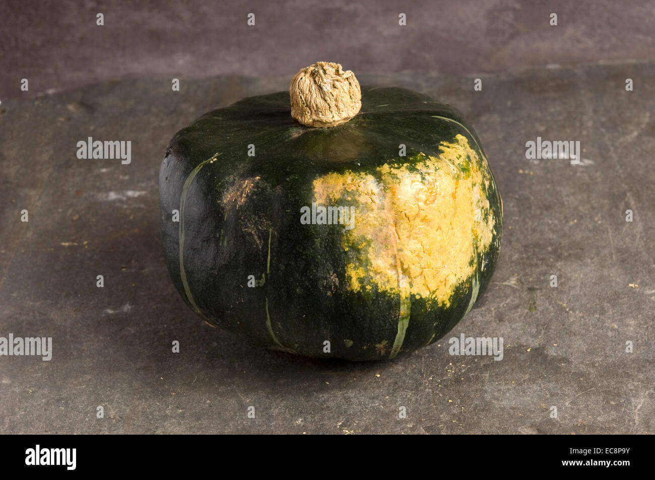 Citrouilles et courges. Hokkaido Banque D'Images