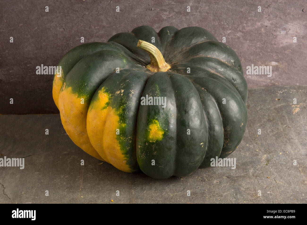 Citrouilles et courges. Muscade de Provence Banque D'Images