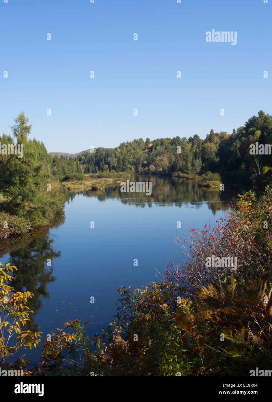 La nature, les bois et la rivière à l'automne Banque D'Images