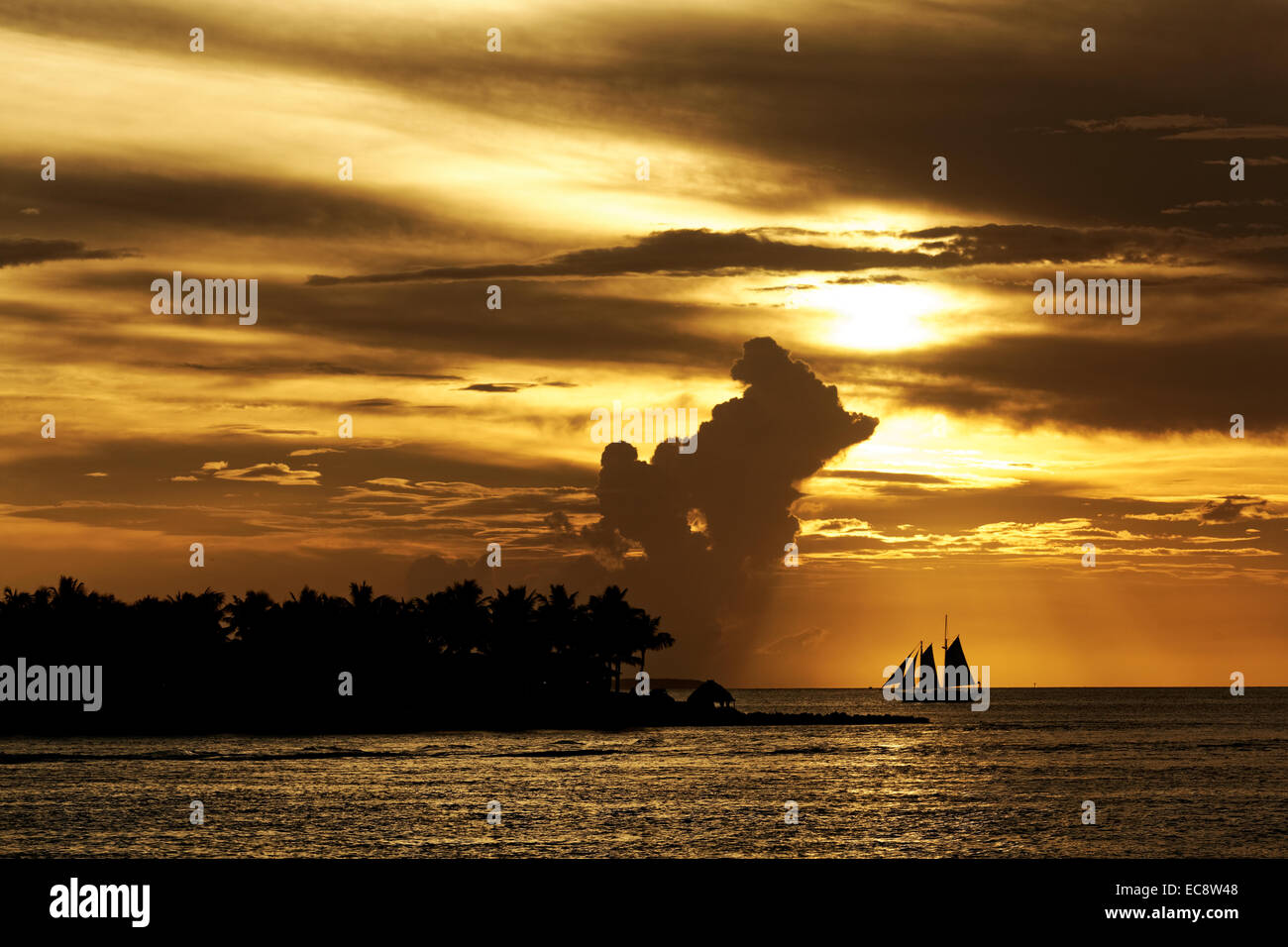 Coucher de soleil d'or à Key West, Floride, États-Unis - voilier silhoueté contre le ciel d'or avec formation de nuages Banque D'Images