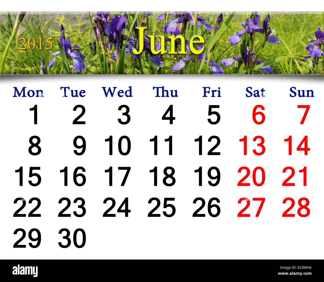 Calendrier de mai de l'année 2015 sur le fond d'iris en fleurs Banque D'Images