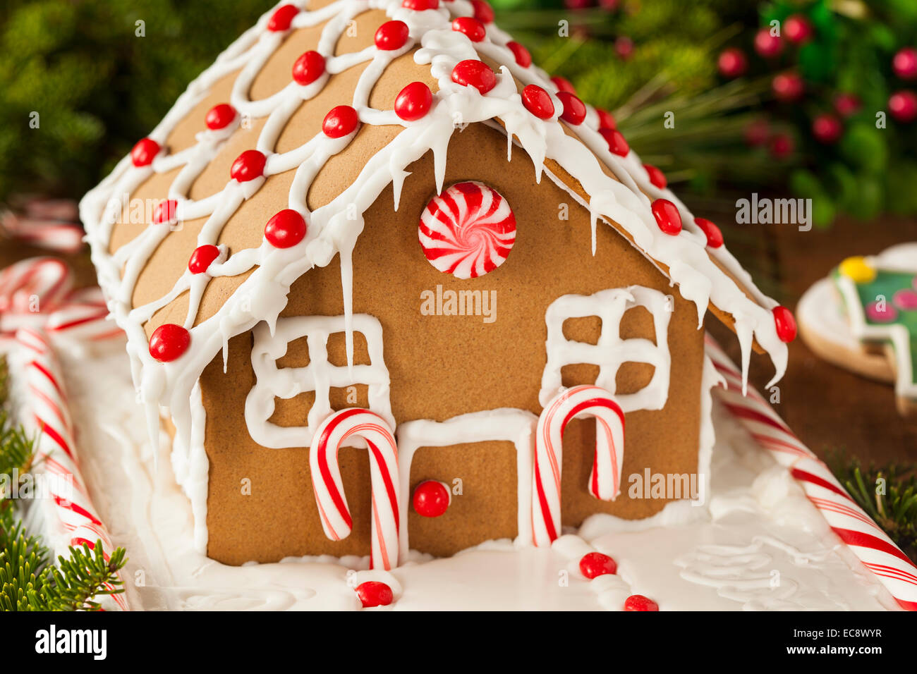 Les Bonbons faits maison Gingerbread House avec glaçage et Candycanes Banque D'Images