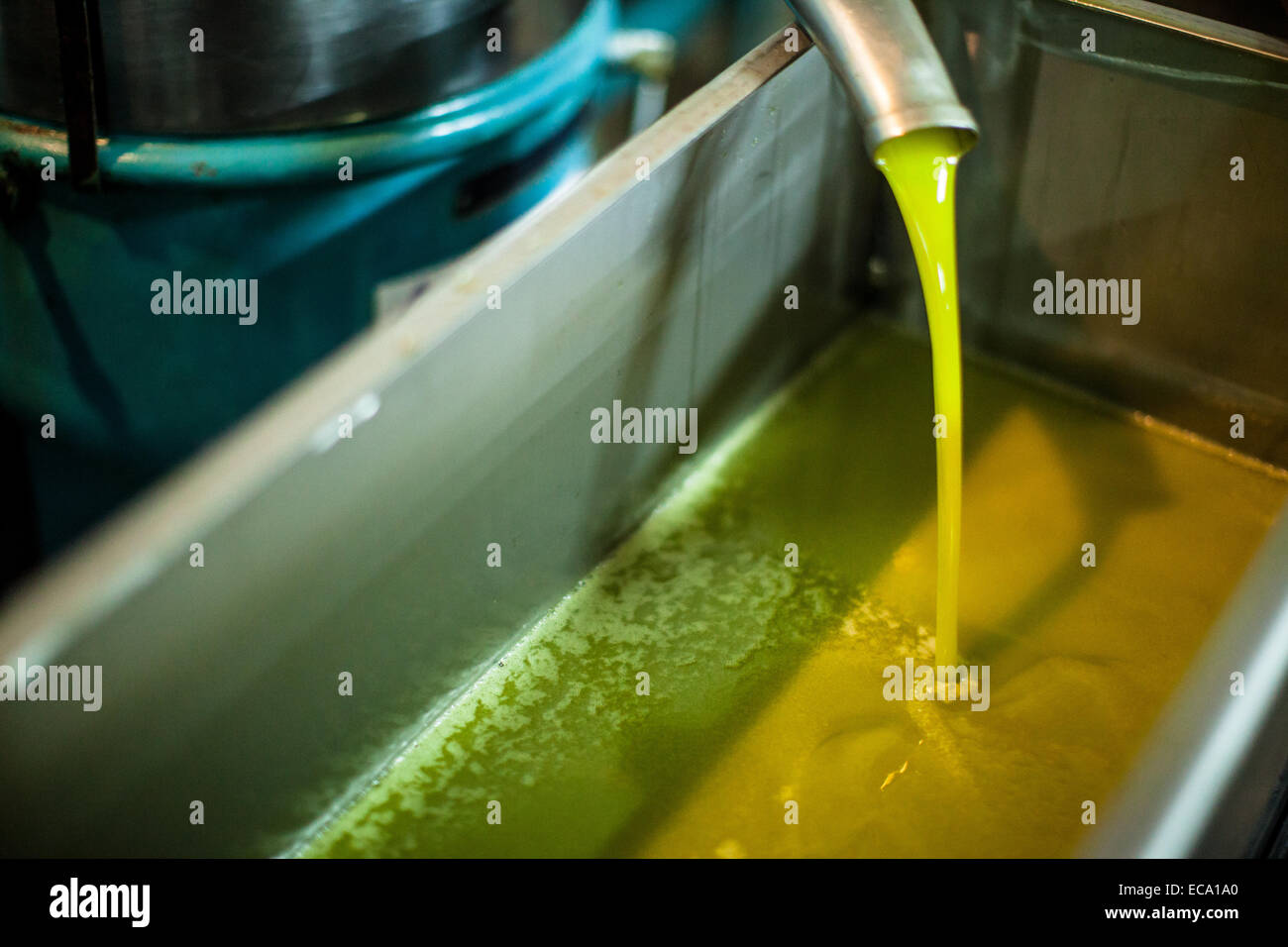 L'huile d'olive douce qui sort de l'entonnoir touche Banque D'Images
