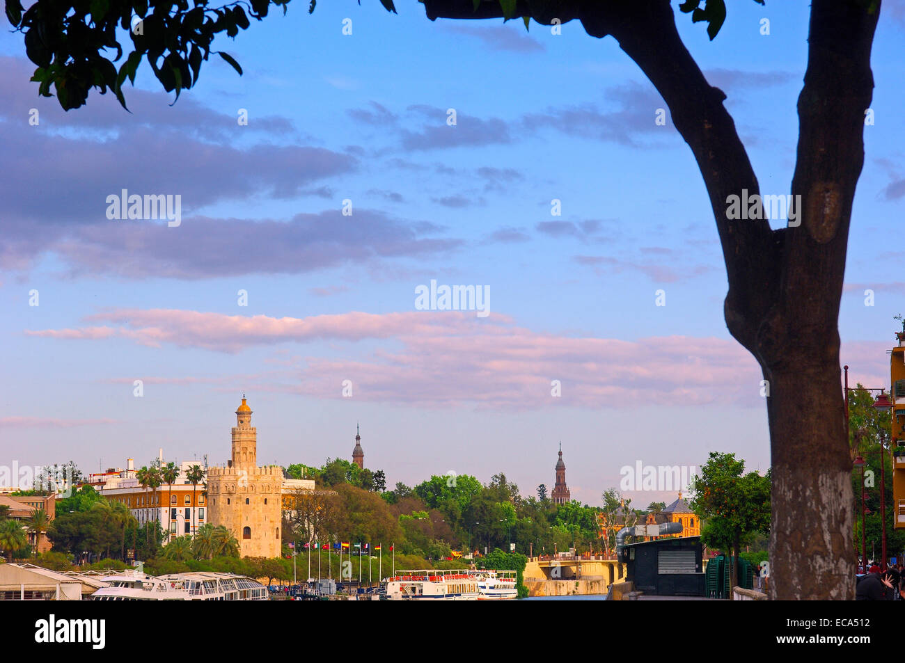 Torre del Oro et le Guadalquivir, Séville, Andalousie, Espagne, Europe Banque D'Images