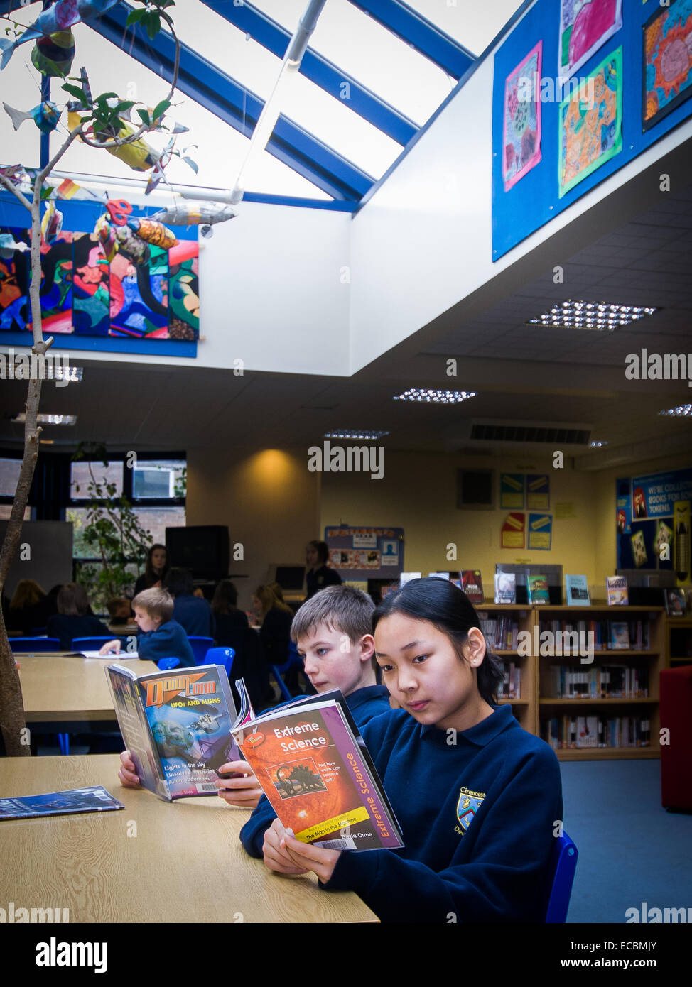 Lecture des élèves dans une bibliothèque récemment construit dans une école secondaire en UK Banque D'Images
