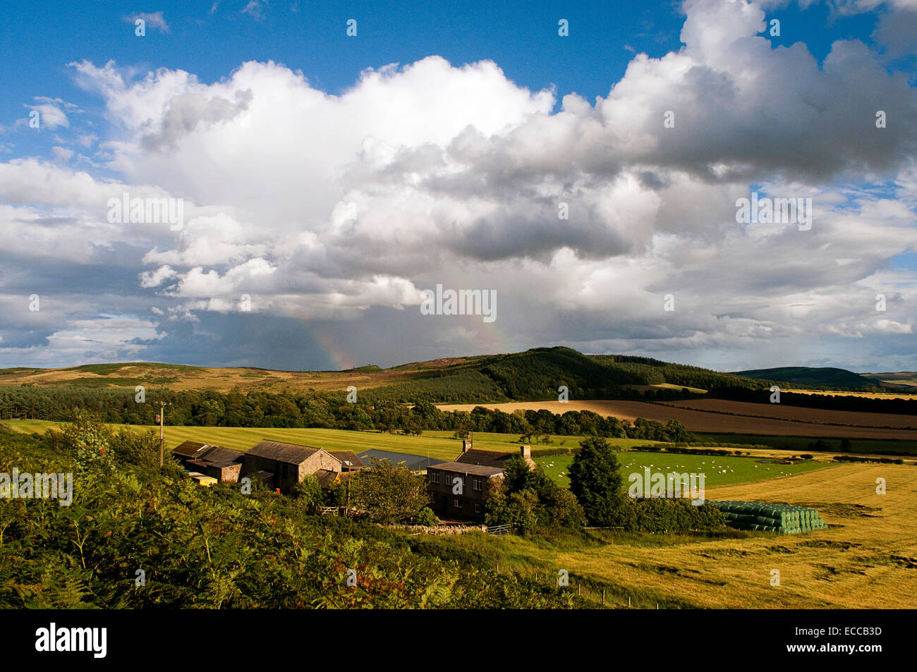 Un double arc-en-ciel dans le Northumberland. Banque D'Images