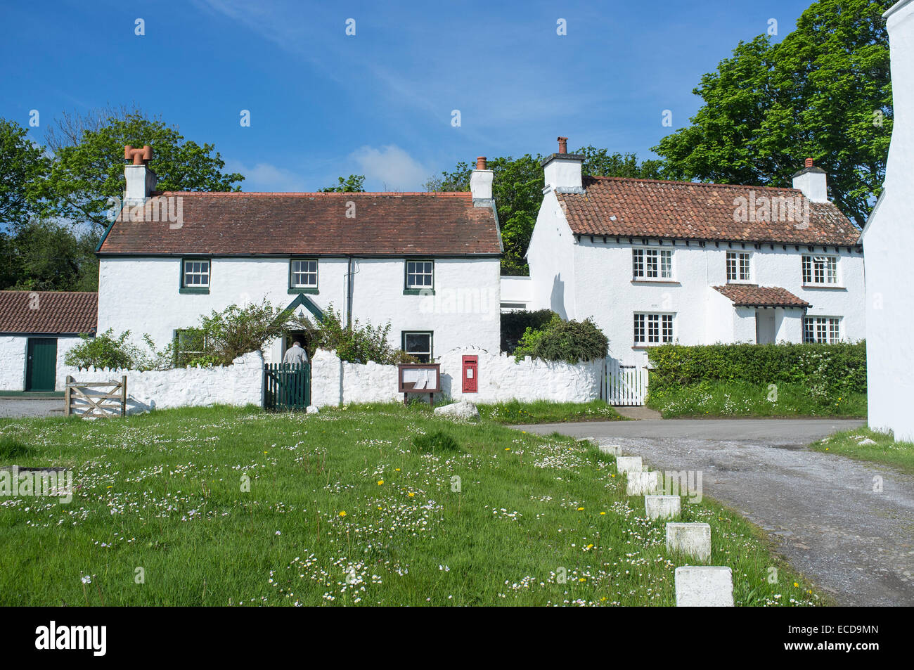 Cottages blanchis dans Penrice Village sur la péninsule de Gower Wales Banque D'Images