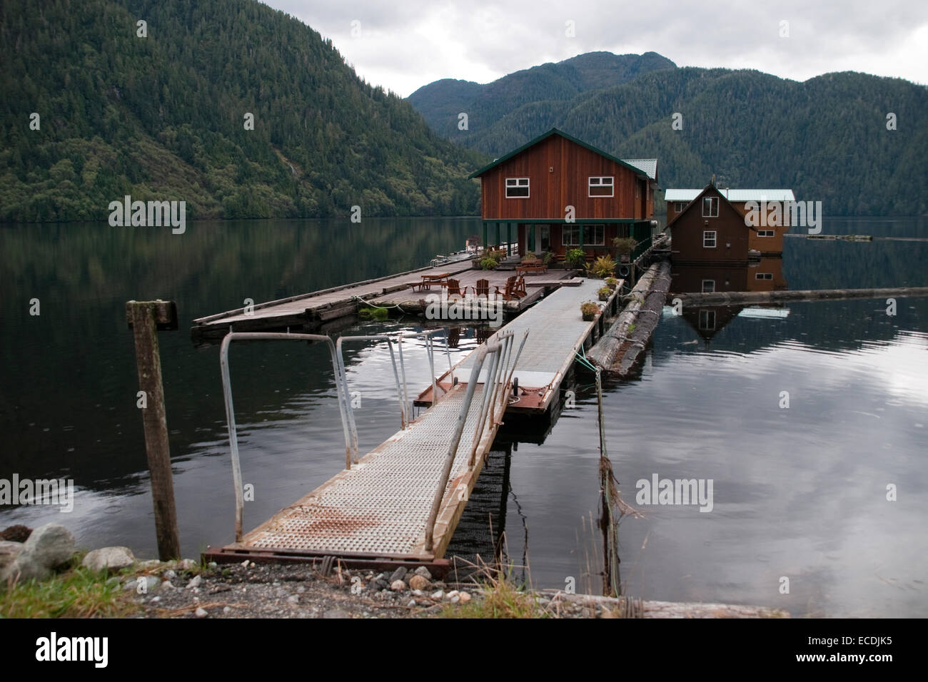 L'observation des ours de l'écotourisme un lodge à la tête de Smith Inlet in British Columbia's Great Bear Rainforest, Canada. Banque D'Images