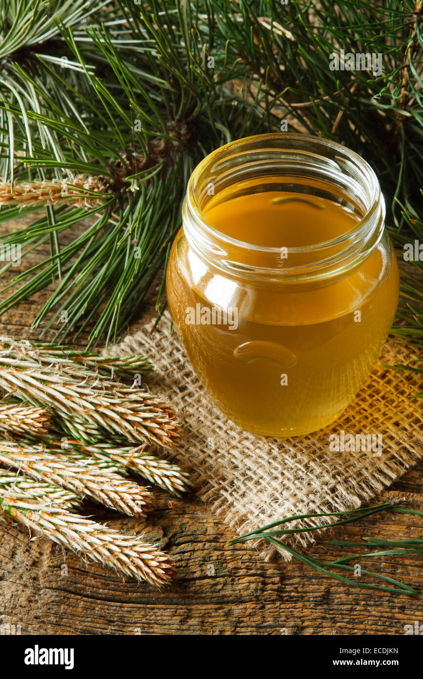 Sirop fait maison de jeunes bourgeons de pin vert et le sucre Banque D'Images