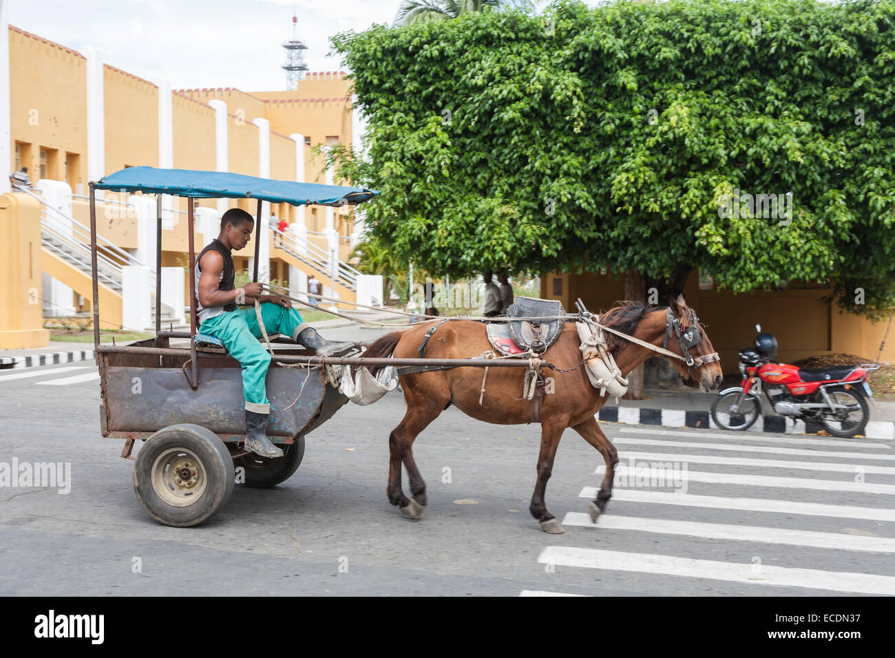 La conduite d'un homme cheval et panier par la caserne de Moncada, jaune avec des impacts de balles visibles dans les murs, Santiago de Cuba Banque D'Images