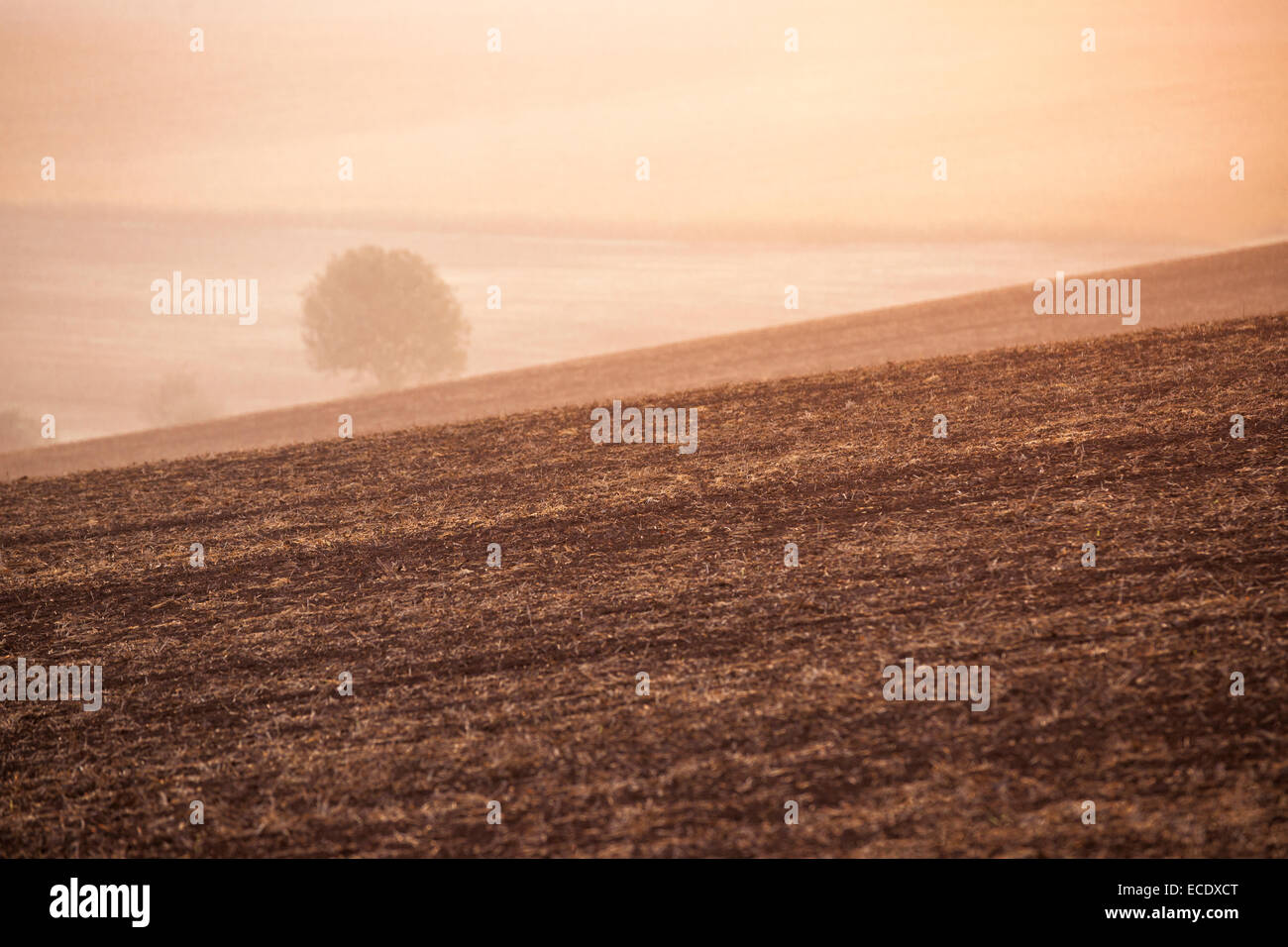 Les champs agricoles de la Moravie du Sud pris au lever du soleil, Vyskov, République Tchèque, Europe Banque D'Images