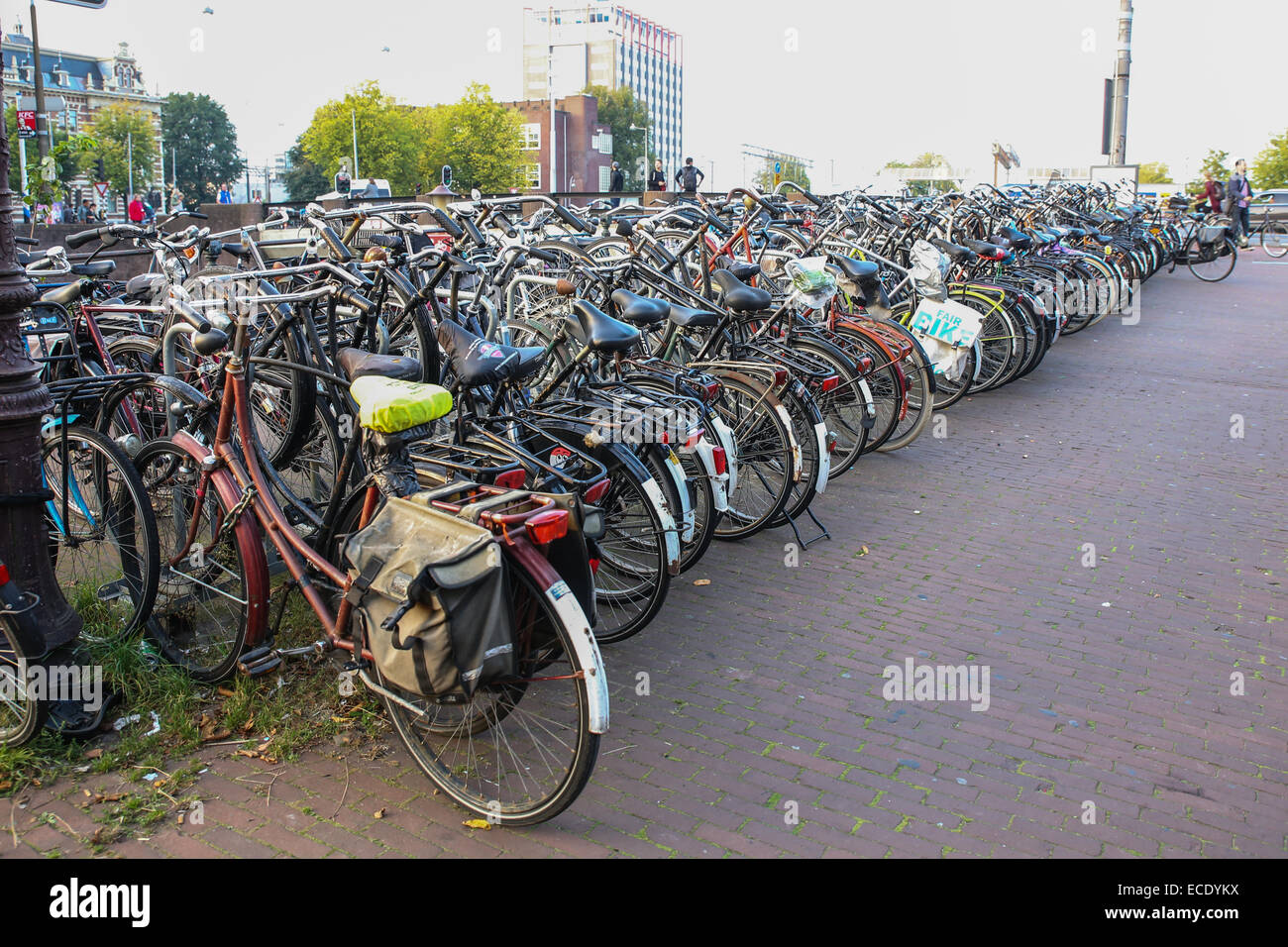 Support à vélos de trop-trop de vélos Banque D'Images