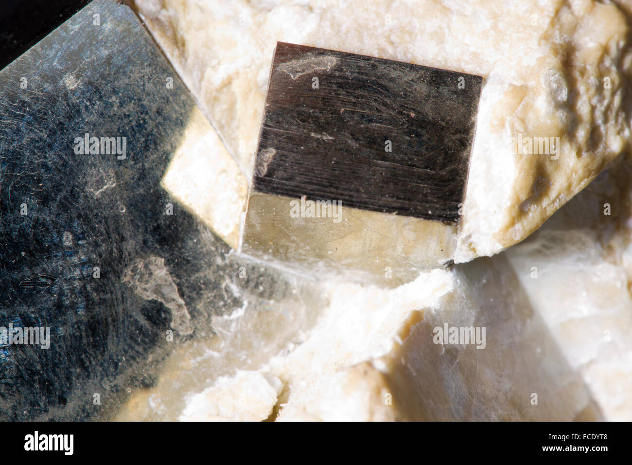 La pyrite de fer ou l'or des fous les cristaux. Les cristaux cubiques sur la roche hôte. Origine inconnue. Banque D'Images