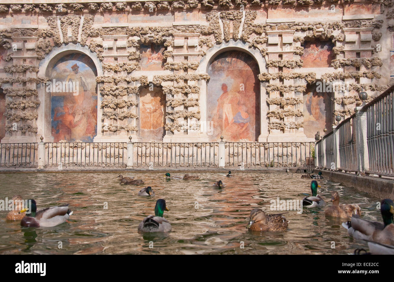 Canards nageant dans la fontaine de mercure à l'Alcazar Palace, Séville, Andalousie, Espagne Banque D'Images