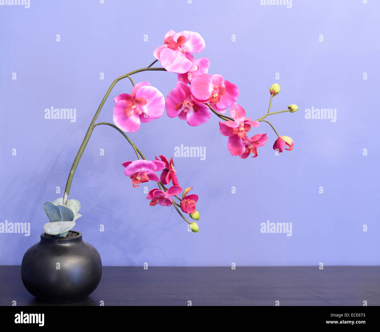 Orchidée de soie dans un vase Banque D'Images