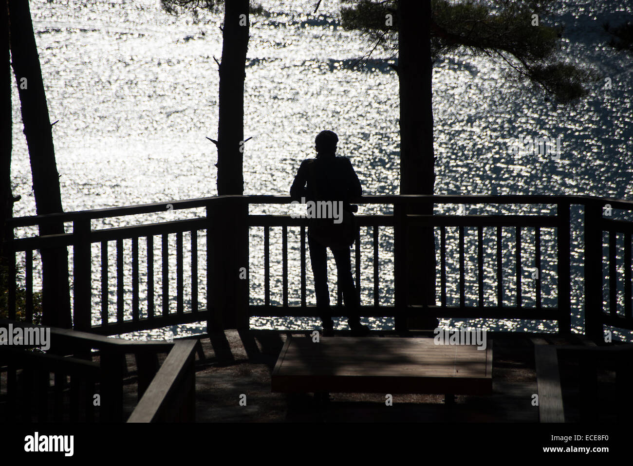 Silhouette de jeune homme à la recherche sur le lac Kawaguchi, le Japon. Banque D'Images