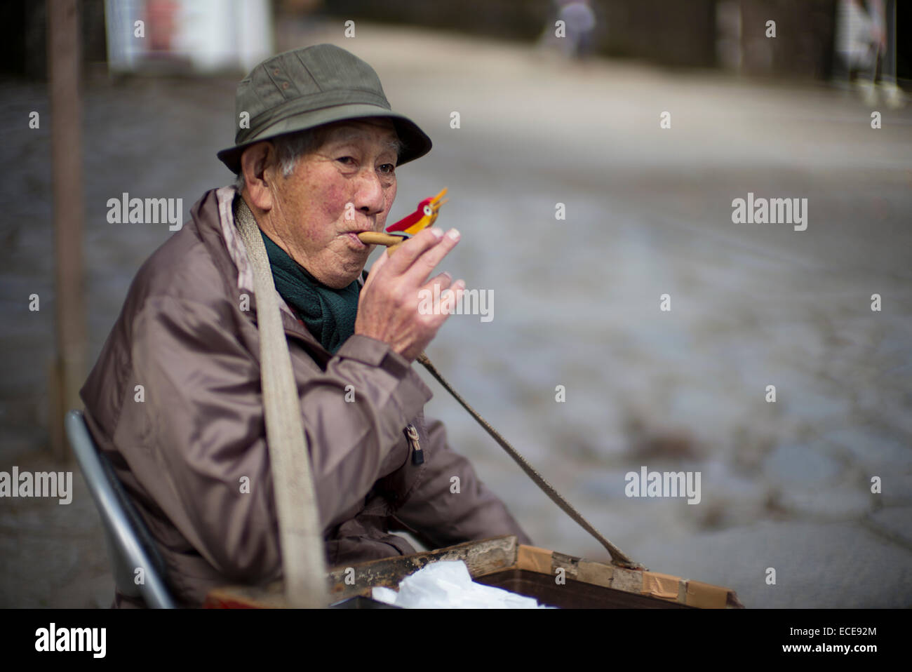 Le Birdman de Nikko, Toshogu, le Japon. Banque D'Images