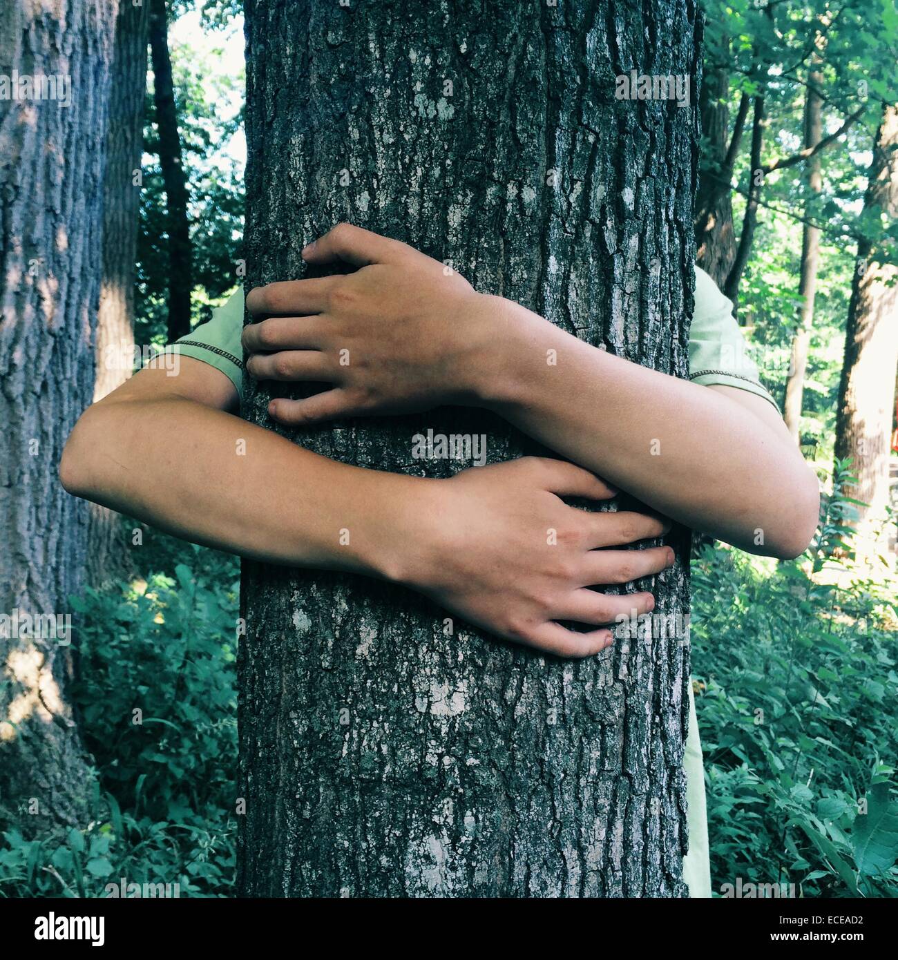 Teenage boy hugging tree in forest Banque D'Images